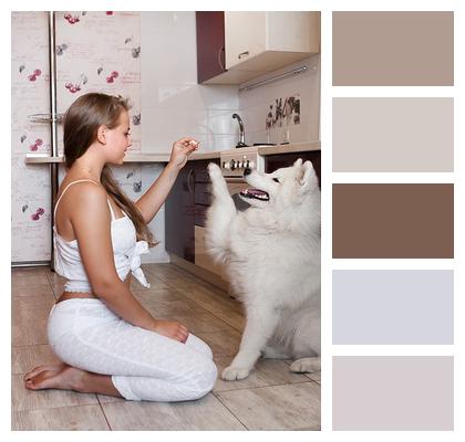 Kitchen Young Woman Dog Image
